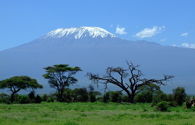 6 Days Kilimanjaro Safari Tour