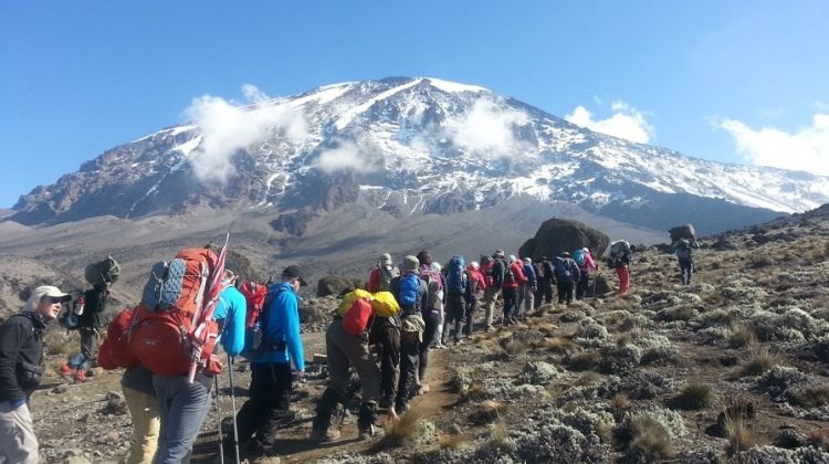 Climbing Mount Kilimanjaro On A Tight Budget?