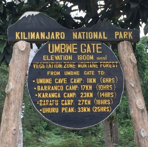 A Guide To Selecting The Best Kilimanaro Route