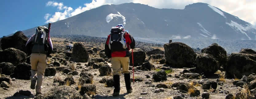 8 Days Mount Kilimanjaro Hike (Lemosho Route)