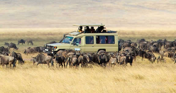 10 days Serengeti, Tarangire and Ngorongoro wildlife safari