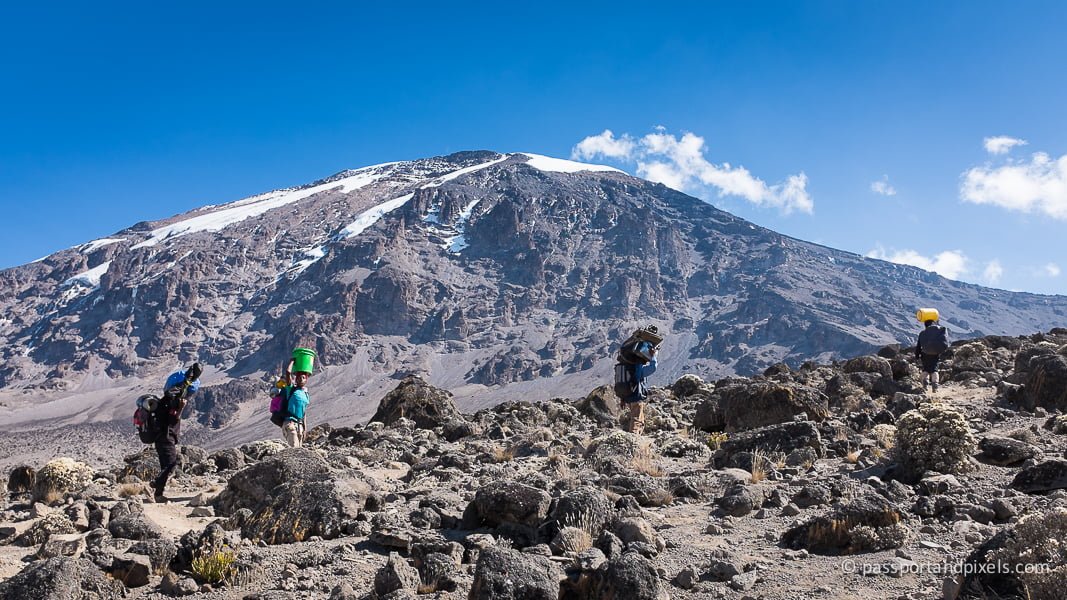A Joint Group Hiking of Mt. Kilimanjaro