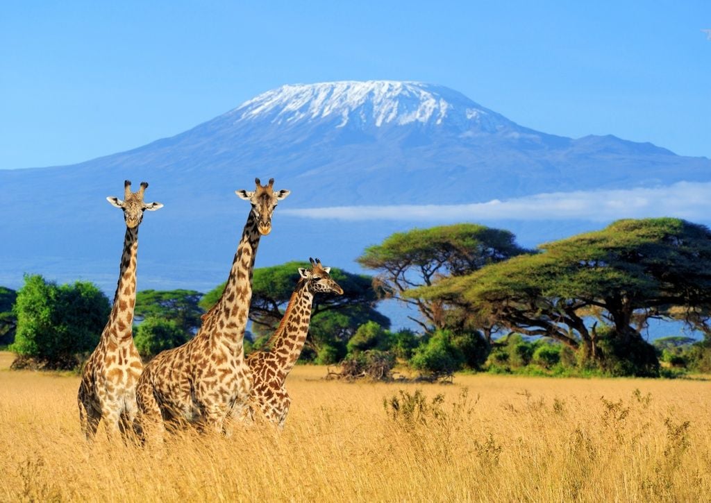 Is Mount Kilimanjaro still active?