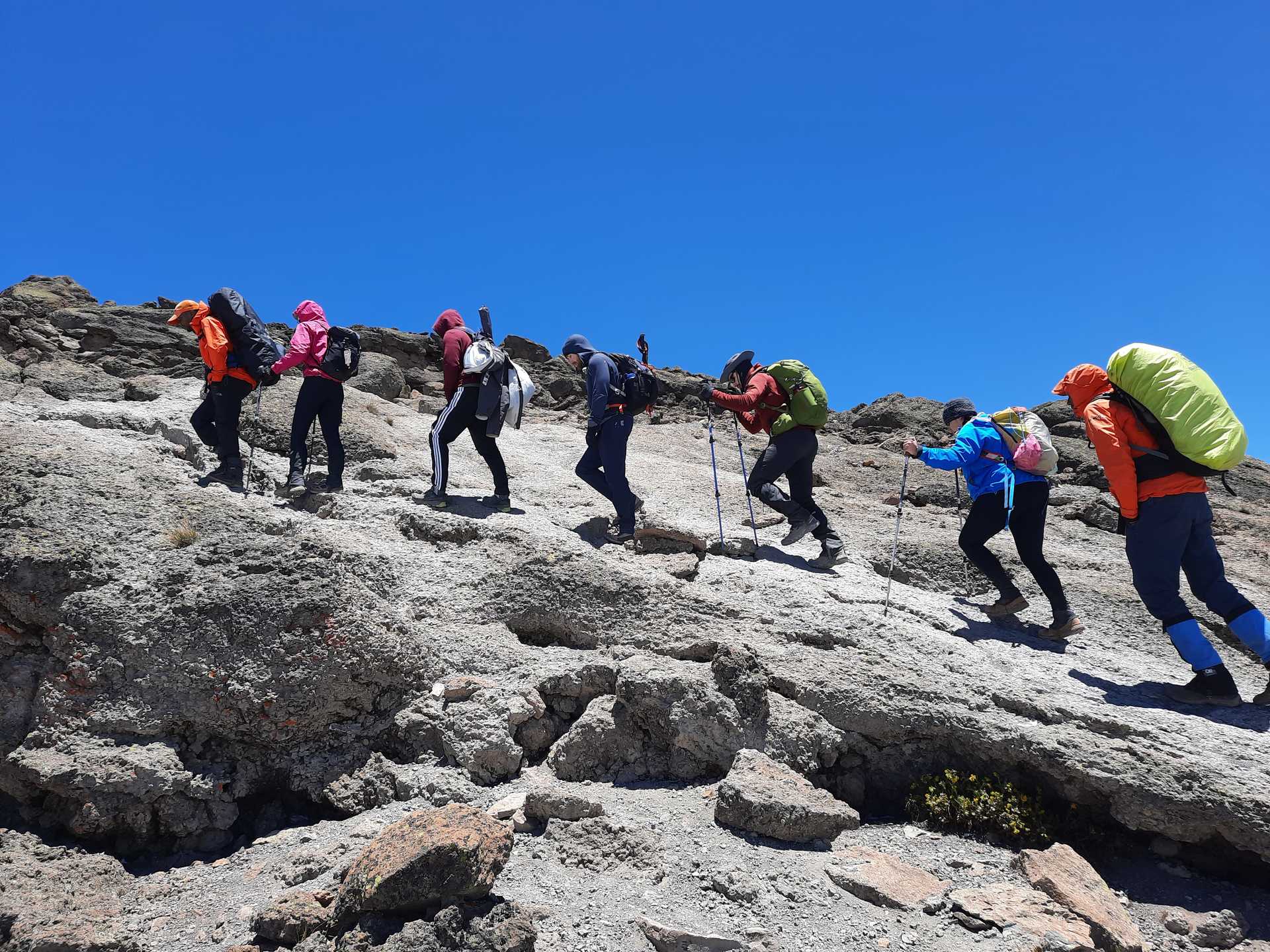 Barranco Wall Mt Kilimanjaro Guide